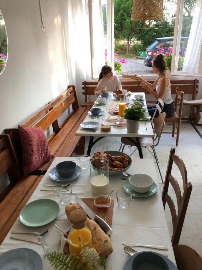 Surfhostel Hossegor سورت-هوسيغور المظهر الخارجي الصورة